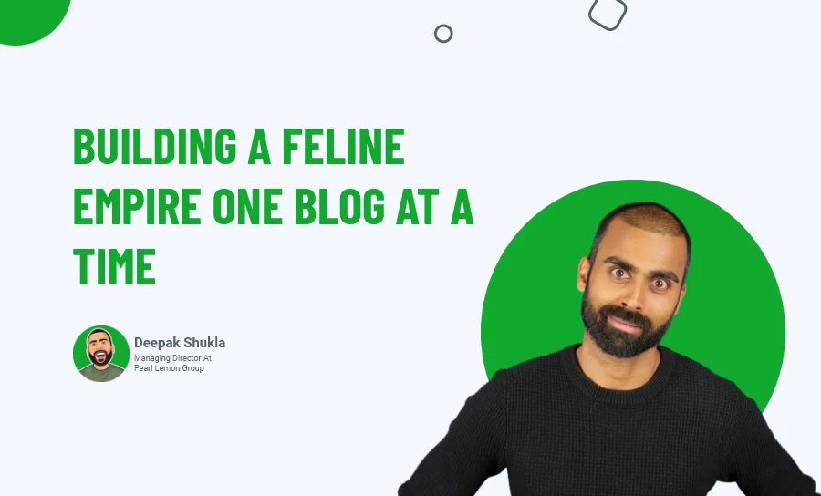 Building A Feline Empire One Blog At A Time