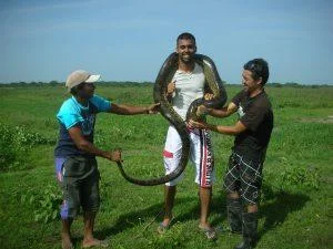 Deepak With A Python