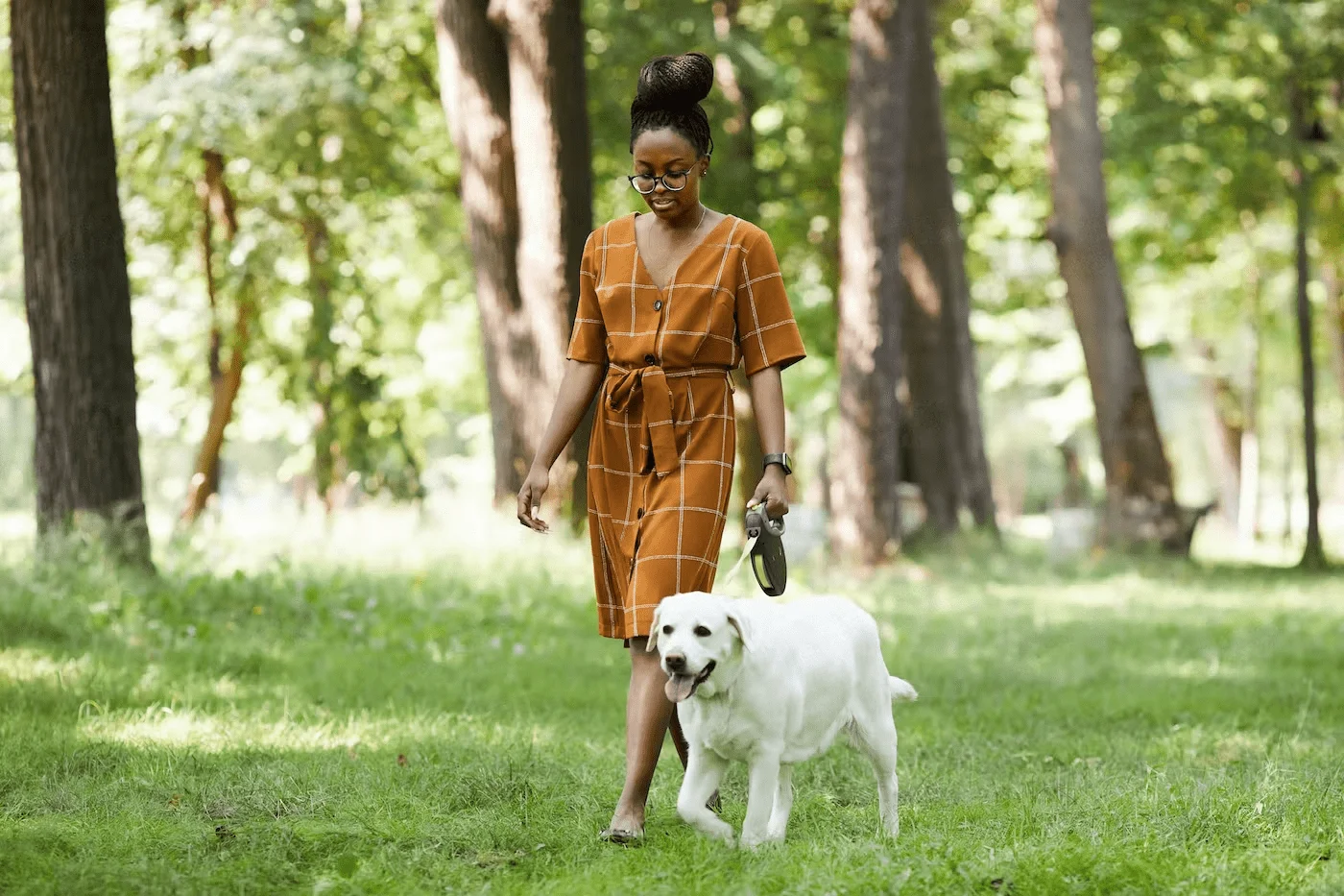 Dog Walking Business