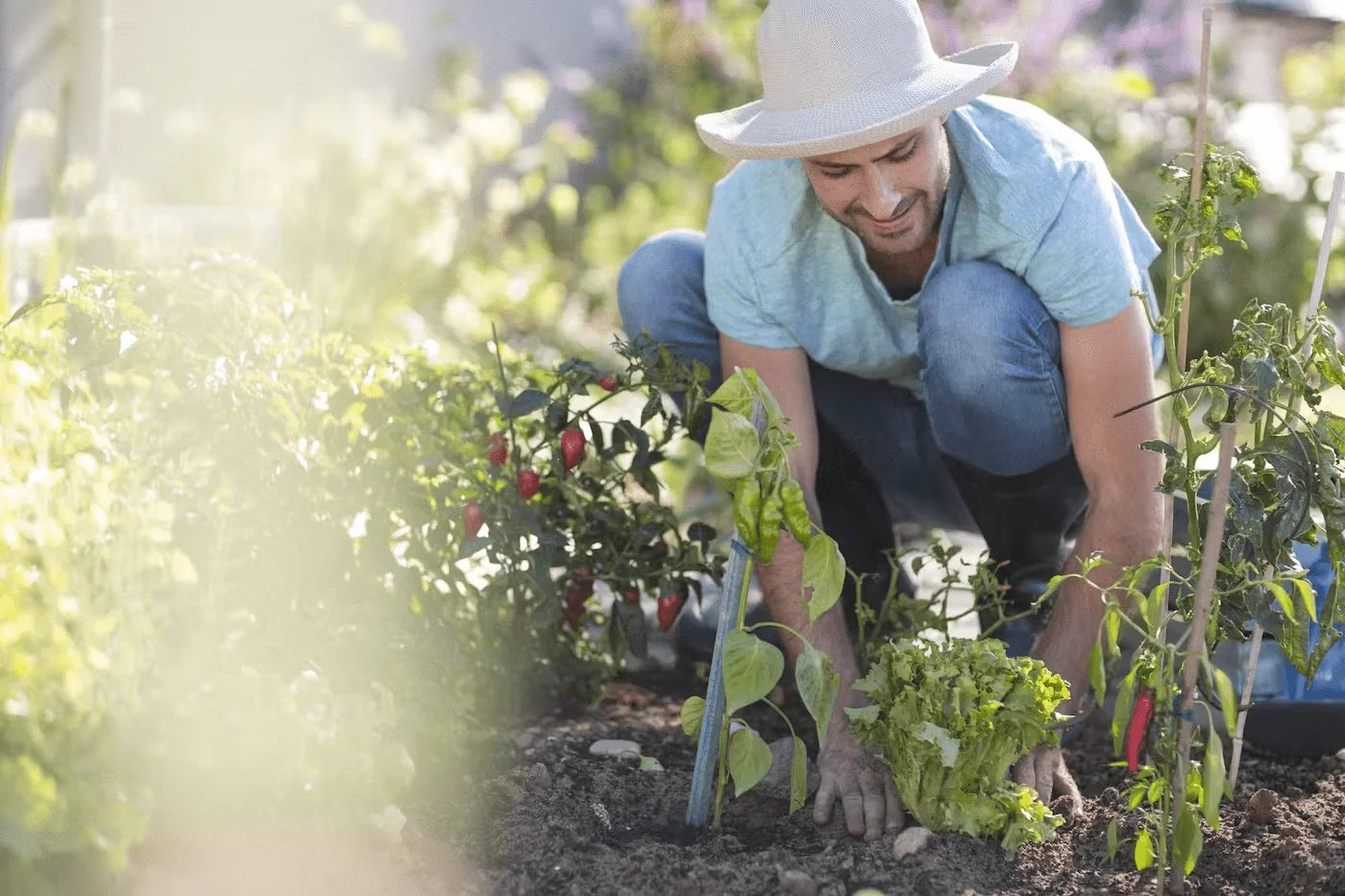 Gardening Business 