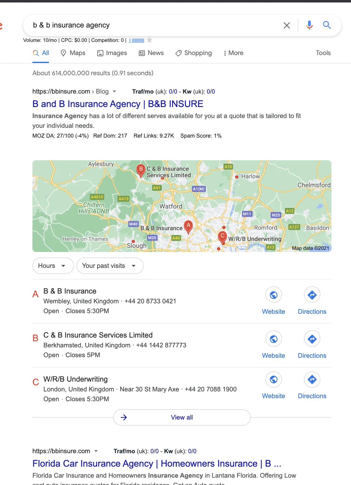 Google Search View