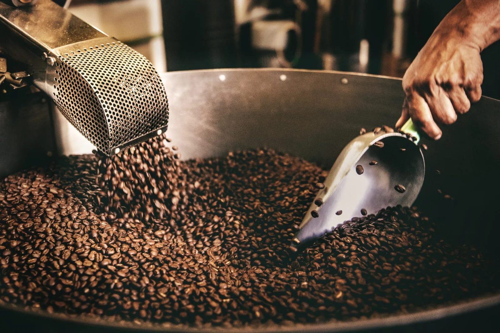 How To Start A Coffee Roasting Business: An Insider