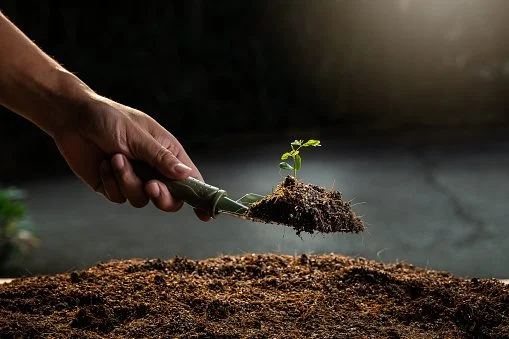 How To Start A Gardening Business