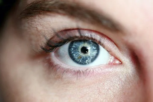 How To Start A Lash Business