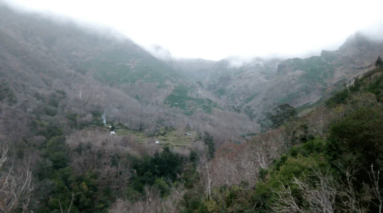 Madeira Island