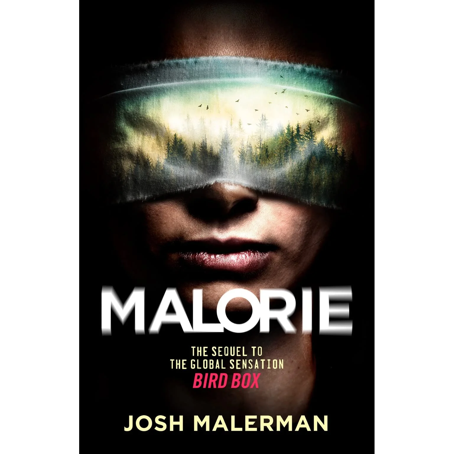 Malorie by Josh Malerman