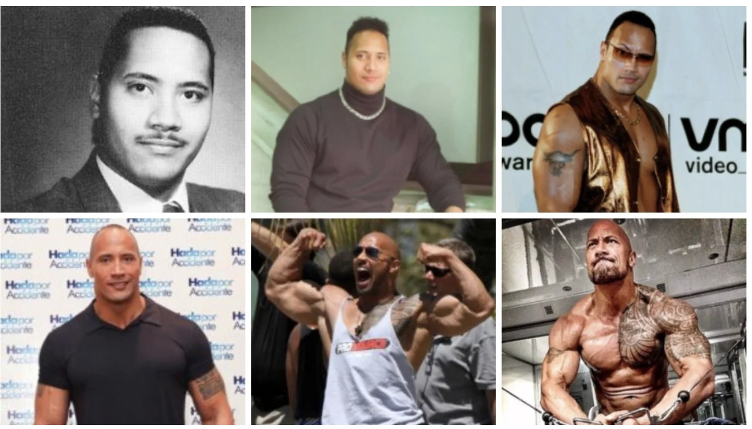 The Rock