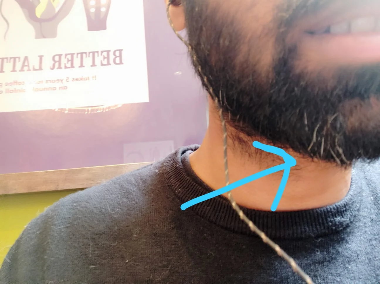 White Hairs