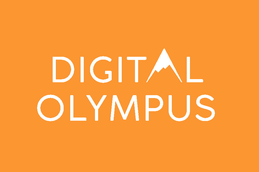 Webinar presentation: Digital Marketing Conference hosted by Digital Olympus